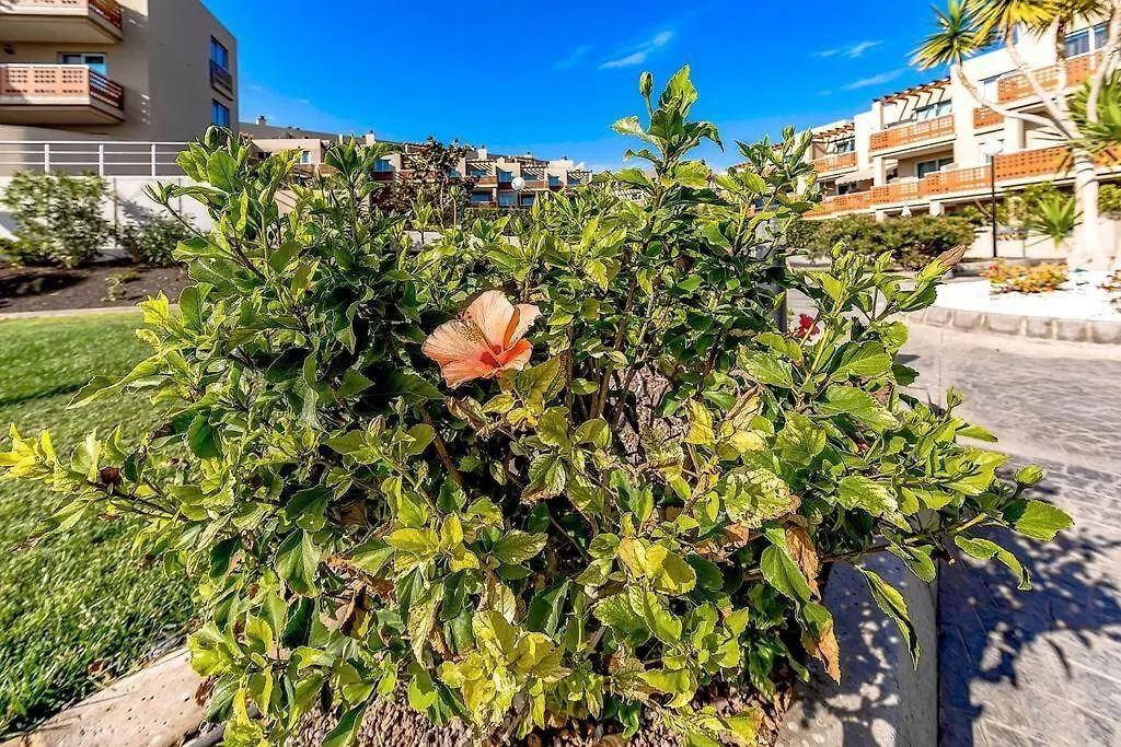 Grande Apartamento, Sotavento 3, La Tejita, El Medano Apartment Granadilla De Abona